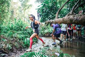 BIB: 
                            <button type="button" onclick="openModal(25475334)" class="btn btn-primary btn-sm float-right btn-popup" data-toggle="modal" data-target=".modal-high-quality">
                        <i class="fas fa-shopping-cart"></i> Add to Cart
                    </button>
                                            <button type="button" onclick="isThisMe(25475334, true)" class="btn btn-success btn-sm float-right btn-popup btn-isme hidden" data-toggle="tooltip" data-placement="bottom" title="นี่คือรูปของคุณใช่ไหม คลิกที่นี่เพื่อเอาเข้าอัลบั้ม">
                        <i class="fas fa-plus"></i> Add to album
                    </button>
                    <button type="button" onclick="isThisMe(25475334, false)" class="btn btn-warning btn-sm float-right btn-popup btn-isnotme hidden">
                        <i class="fas fa-ban"></i> Remove from album
                    </button>